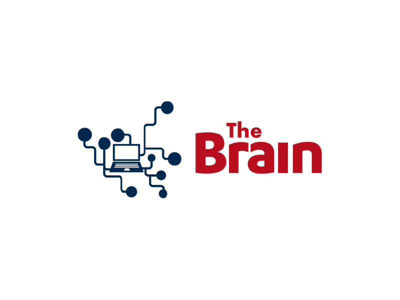 The Brain