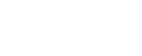 The Brain